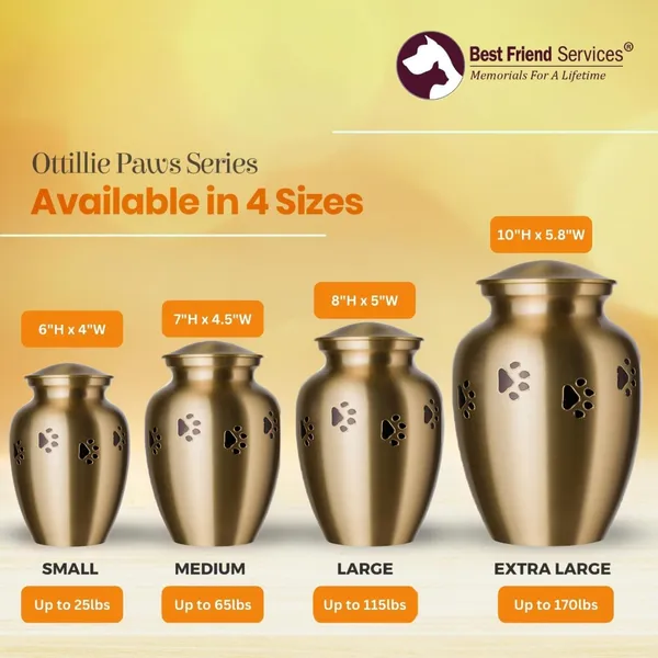 Brass Pet Urn (Ottillie Legacy)